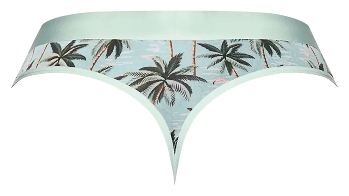 Male Power Lingerie Female Sex Toys Male Power Sheer Prints Thong in Flamingo Design Comfortable Sexy Mens Underwear in SM Size for Everyday Role Play